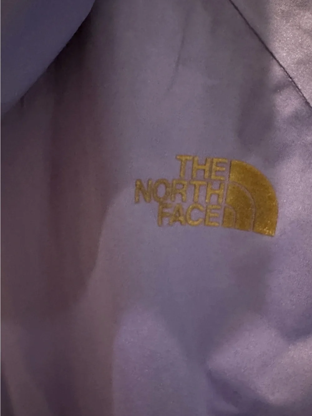 The North Face Royal Blue Hooded Windbreaker Jacket